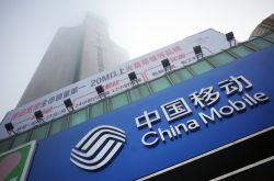 [4分钟科普下]本溪单位电话号码大全_哔哩哔哩-3
